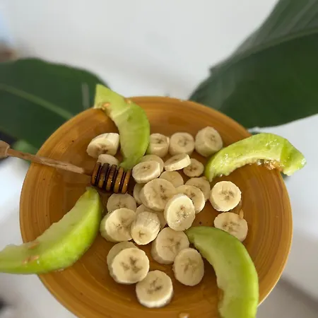 Himalayas 게스트하우스 Gjirokastër