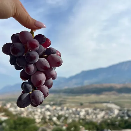 Pensjonat Himalayas