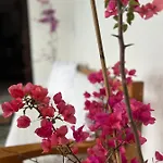 Himalayas