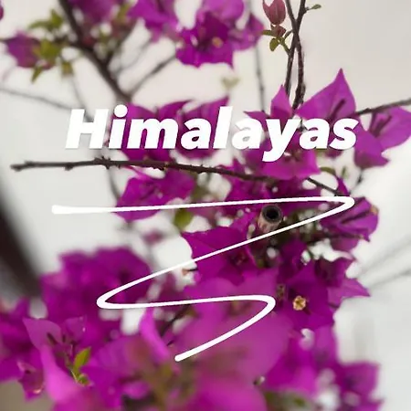 Πανσιόν Himalayas 4*