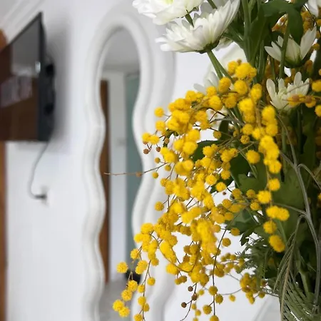 Guest house Himalayas